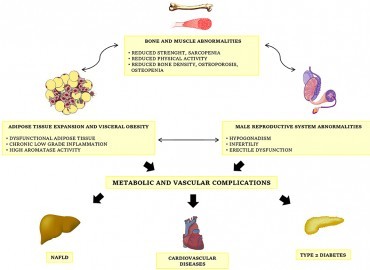 Obezite Cerrahisinin (Bariatrik Cerrahi) Erkek Cinsel Yaşamı Üzerindeki Etkileri Nedir?